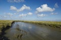 Westerhever (Germany) - Salt meadows with ditch Royalty Free Stock Photo