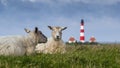 Westerhever Lighthouse Royalty Free Stock Photo