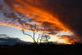 Western Australia construction mining camp sunset Royalty Free Stock Photo