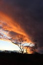 Western Australia construction mining camp sunset Royalty Free Stock Photo