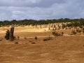 Western Australia, Pinnacles Desert