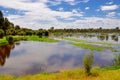 Western Australia Wetlands Royalty Free Stock Photo