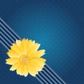 Western Blue Greeting Card Template, Chrysanthemum