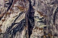 Western Brook Pond. Gros Morne National Park, Newfoundland, Canada Royalty Free Stock Photo