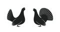 Western capercaillie, wood grouse logo. Isolated capercaillie on white background. Bird
