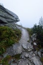 mountain tourist trail in  autumn covered in mist