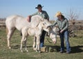 Western couple outside with white horse and foal Royalty Free Stock Photo