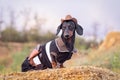 Western cowboy sheriff dachshund dog with gun, wearing american hat and cowboy costume outside in the desert, against the sky Royalty Free Stock Photo