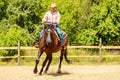 Western cowgirl woman riding horse. Sport activity