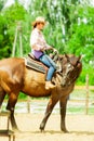 Western cowgirl woman riding horse. Sport activity Royalty Free Stock Photo