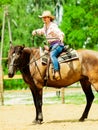 Western cowgirl woman riding horse. Sport activity Royalty Free Stock Photo