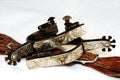 Western Fancy Spurs and Leathers