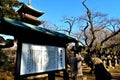 Western girl reading tourist information on Kaneiji pagoda in Ueno park