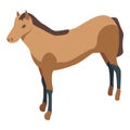 Western horse icon, isometric style