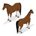 Western Horse with saddle and bridle. Isometric vector illustration Royalty Free Stock Photo