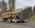 Western long log tandem trailer truck