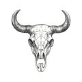 western Longhorn Skull horn ai generated