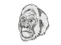 Western Lowland Gorilla Endangered Wildlife Cartoon Retro Drawing