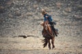 Western Mongolia,Golden Eagle Festival.Mongolian Rider-Hunter In Blue Clothes And A Fur Hat On Brown Horse And The Flying Golden