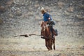 Western Mongolia,Golden Eagle Festival.Mongolian Rider-Hunter In Blue Clothes And A Fur Hat On Brown Horse And The Flying Golden