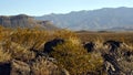 Western Mountain Landscape at Three Rivers Petroglyph Site