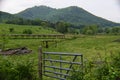 Western NC mountain cow pasture Royalty Free Stock Photo