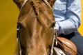 Western riding equipment detail