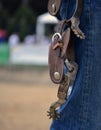 Western riding spurs on belt