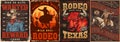 Western rodeo colorful set flyers Royalty Free Stock Photo