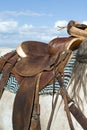 Western saddle