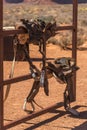 Western Saddles on a gate Monument Valley Arizona