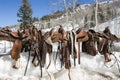 Western Saddles on a Rail Royalty Free Stock Photo