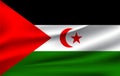 Western Sahara Flag illustration.