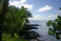 Western Samoa oceanscape