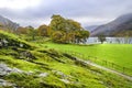 The western shore side of Lake Buttermere in the Lake District Royalty Free Stock Photo