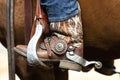 Western spur and stirrup with a lot of bling bling