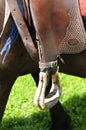 Western stirrup close-up Royalty Free Stock Photo