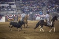 Western Stock Show in Denver. Royalty Free Stock Photo