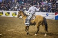 Western Stock Show in Denver. Royalty Free Stock Photo