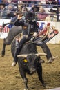 Western Stock Show in Denver. Royalty Free Stock Photo