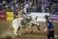 Western Stock Show in Denver. Royalty Free Stock Photo