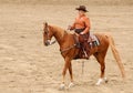 Western tack on a Saddlebred Royalty Free Stock Photo