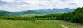 Panoramic scene of green Carpathian Mountains forests. Travel to Ukraine.