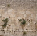 Western Wall