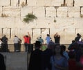 The Western Wall