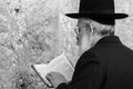 Western Wall, Jerusalem, Israel, 03.04.2015, Western Wall Jerusalem old orthodox deeply sunken in his prayers and holding