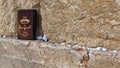 Western wall praying ritual, Jerusalem, Israel