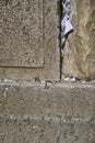 The western wall of the temple mountain in jerusalem Royalty Free Stock Photo