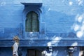 Western woman exploring the blue city, Jodhpur India Royalty Free Stock Photo