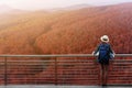 Westerner traveller woman with map in hand admiring view of atumn landscape in japan Royalty Free Stock Photo